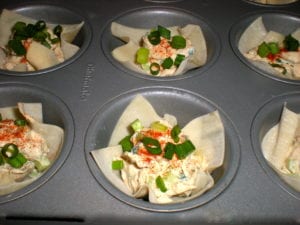 Tuna Wonton Recipe