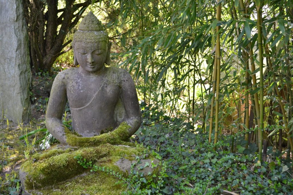 Zen Buddha