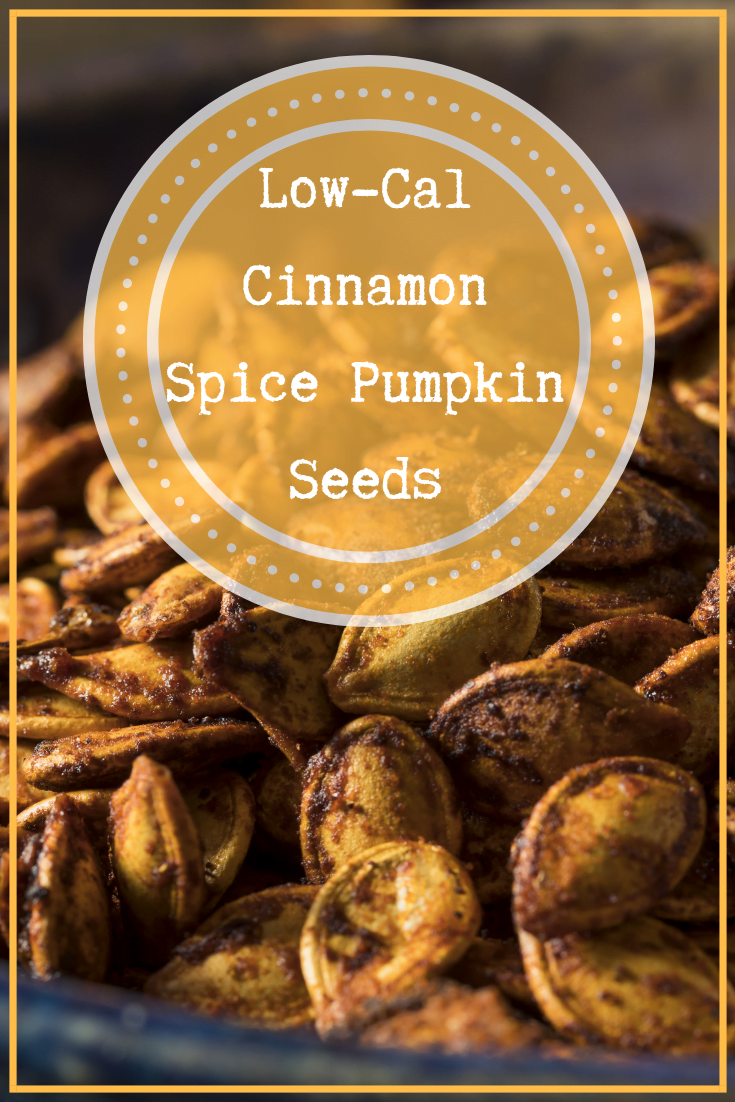 Low Cal Cinnamon Sugar Pumpkin Seeds Pinterest