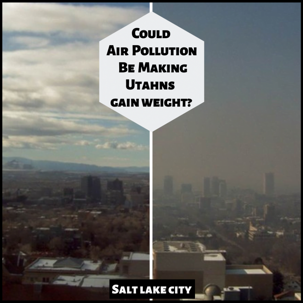 Could Air Pollution Be Making Utahns Gain Weight?