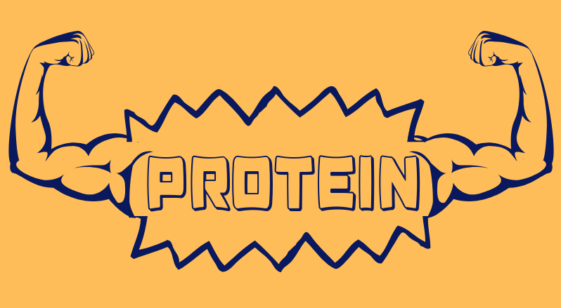 Protein